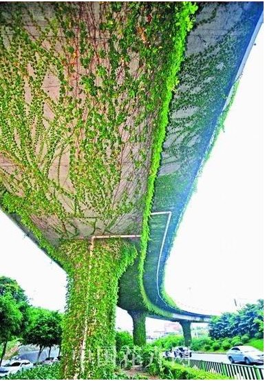 ֲ���x��_���w�G��