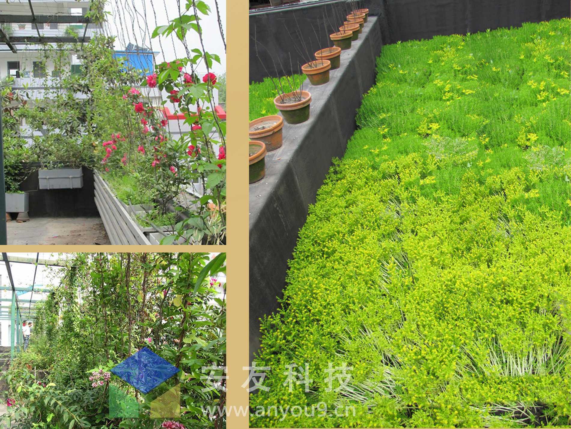 ��h�г~�څ^(q��)�t���С�W(xu��)��픾G������