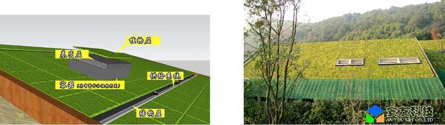 ��������ʽ��픾G��