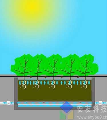 ����һ�w����ˮ_����