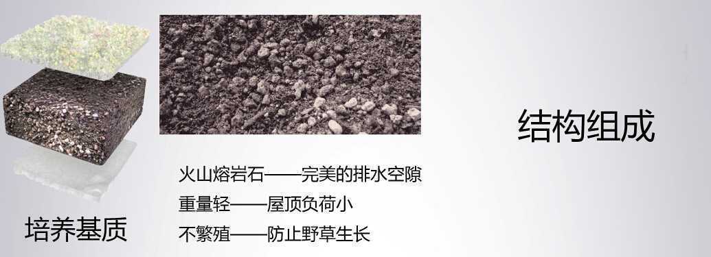 ��̺ʽ�Y��1