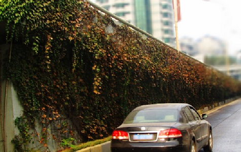 �����G��