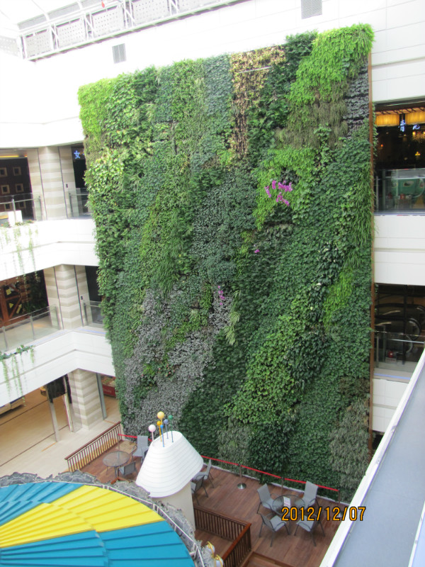 ��hȺ��V���G����