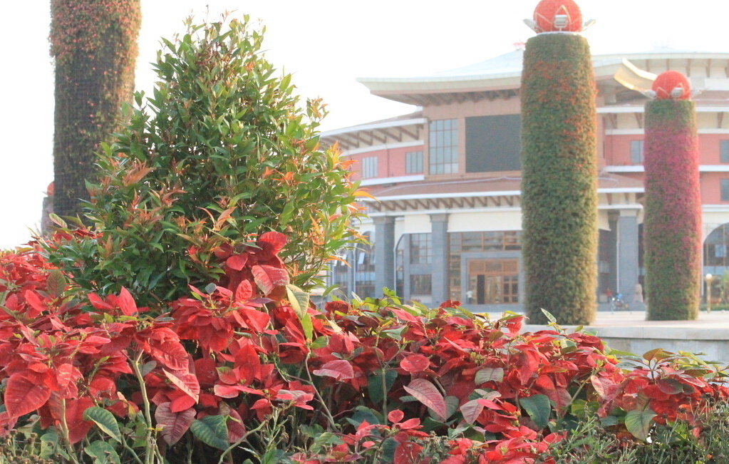 �����G������