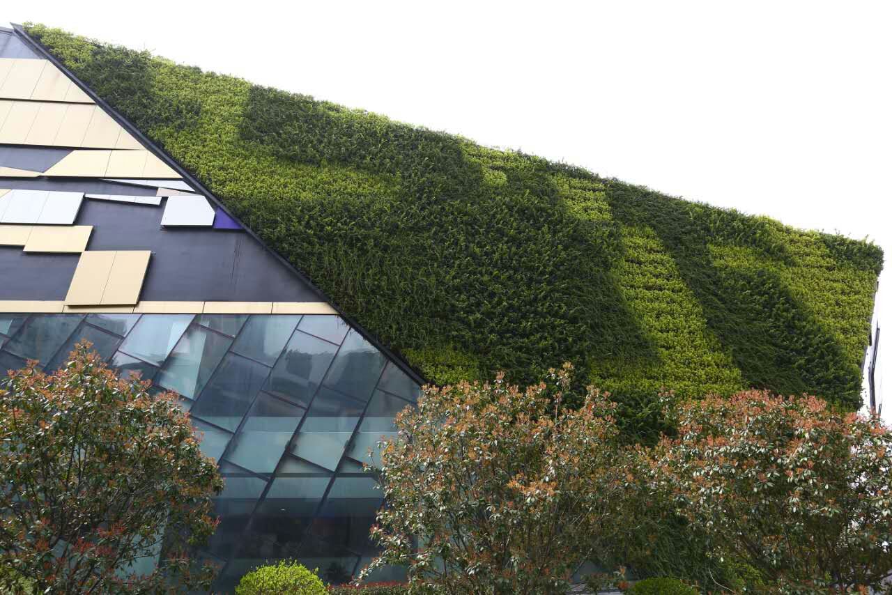 ������픾G��