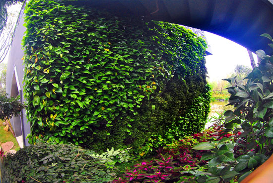 ��ʮ�È@�����ϵ�ˇ�g�G��