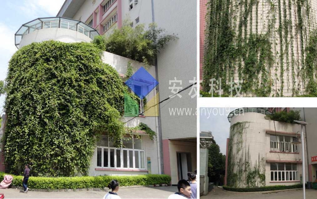 �ֶ����z����G�����g(sh��)����