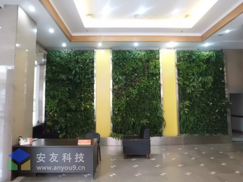 �҃�(n��i)ֲ�