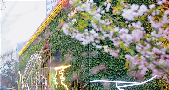 ֲ�����