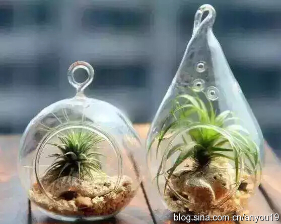 ����ֲ�����]