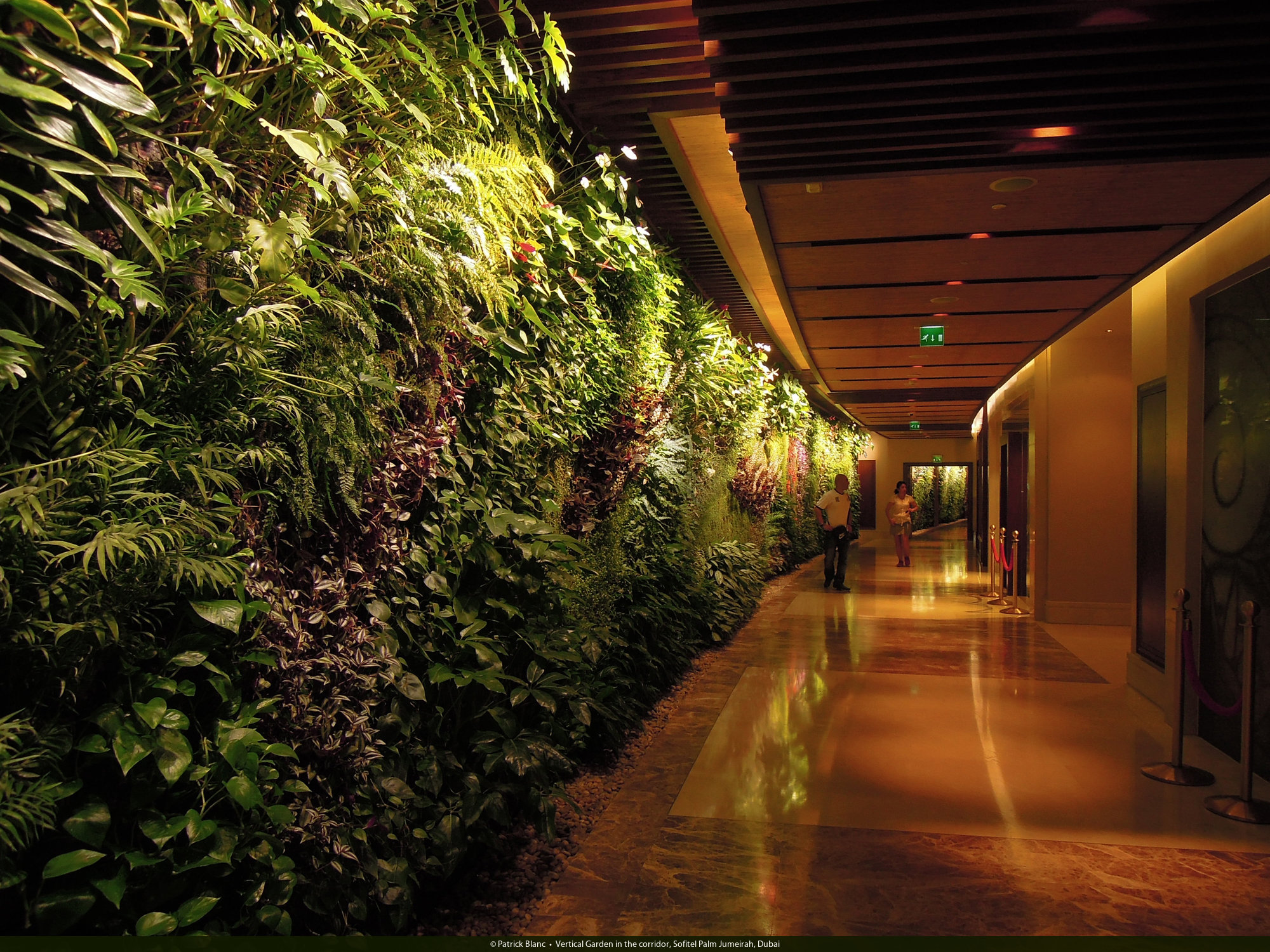 �҃�ֲ�����