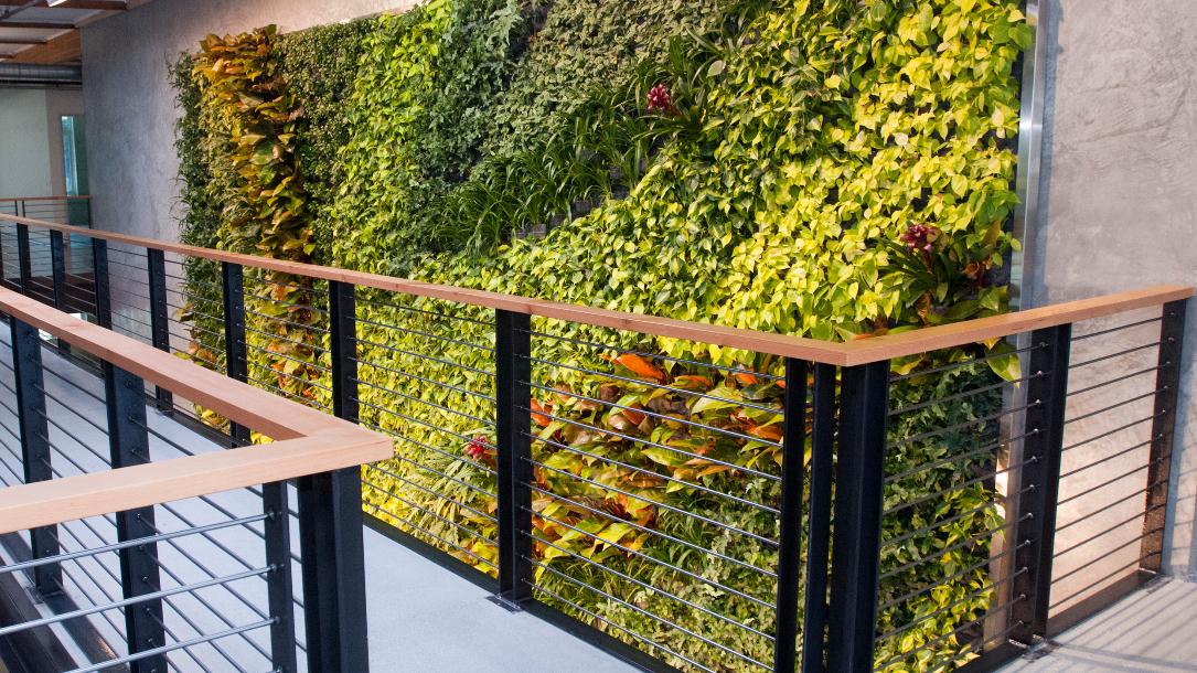 �҃�ֲ�����